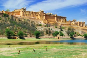 Ab Delhi: 8-tägige Goldenes Dreieck Tour nach Jodhpur & Jaisalmer