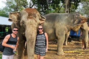 From Delhi: Jaipur Tour with Guide, Transport & Elephants