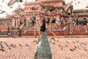 Från Delhi: Privat rundtur i Delhi, Agra och Jaipur