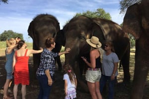 Från Delhi: Taj Mahal-tur i soluppgången med Elephant SOS