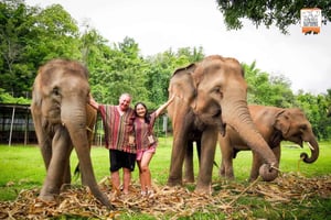 Från Delhi: Taj Mahal, Agra Fort & Elephant Sanctuary Tour