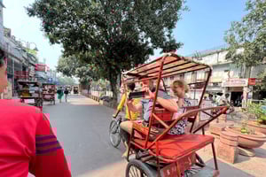 Visite d'une jounée privée combinant l'ancienne et la nouvelle Delhi