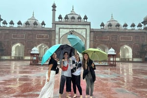 New Delhi: En dags sightseeing i Delhi med bil