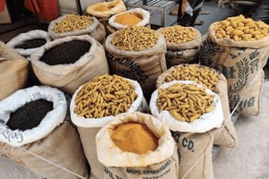 Vanha Delhi: Khari Bawli – Aasian suurin maustekauppatori