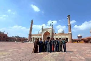 Tour privato di un giorno o mezza giornata nella vecchia e nuova Delhi