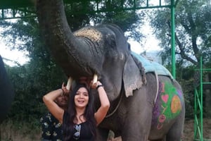 Same day Taj mahal & Agra Fort Tour with Elephant Sanctuary