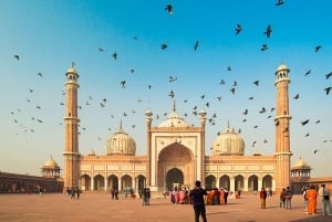 Spacer i zwiedzanie Starego Delhi: wycieczka piesza z lokalnym przewodnikiem