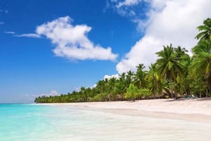 All-Inclusive Excursion to Saona Island from Punta Cana: Lunch and Open Bar
