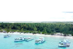 Blue Paradise: Catamaran ride along Punta Cana's coastline