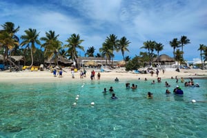 カタリーナ島スノーケリング：カタマラン船でオールインクルーシブ