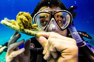 Excursão de mergulho na Ilha Catalina a partir de Punta Cana