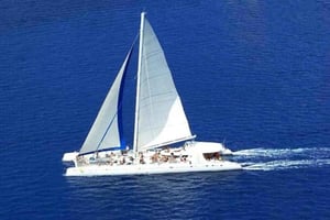 Crociera in catamarano sull'isola di Saona con pranzo e bevande