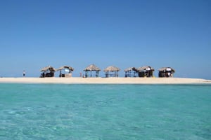 Cayo Arena : Circuit de l'île Paradis et des mangroves