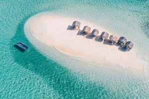 Cayo Arena: Rajska wyspa i wycieczka po namorzynach