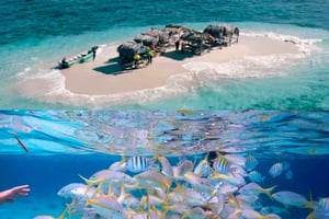 Cayo Arena: Paradise Island & Magroves Tour Private