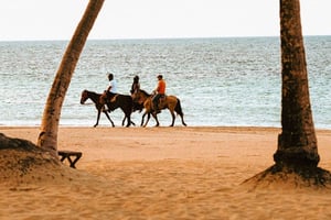 Rannikkopolut ja kulttuuri: auringonlaskun ratsastusretki