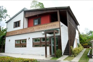 Wycieczka na plantację kakao w Republice Dominikańskiej