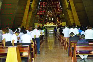 Доминиканское сафари из Пунта-Каны