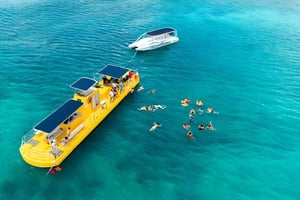 Experience the Exciting Caribbean Underwater World