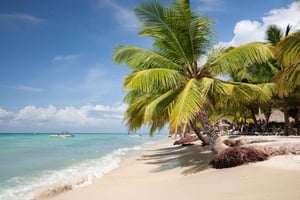 From Punta Cana: Catamaran Tour to Saona Island with Open Bar and Buffet