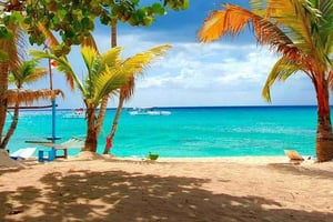 Fra Punta Cana: Eksklusiv Catalina Island Tour med transport og lunsj