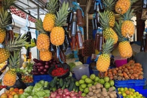 Fra Punta Cana: Historie- og kulturtur med flodsvømning