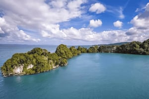 Fra Punta Cana: Tur til Los Haitises: Mangroveskog, grotter + Montaña Redonda