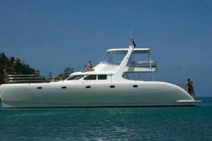 Von Punta Cana aus: Saona Island Private geführte Katamaran Tour
