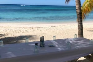 From La Romana: Saona Island for Aida Cruises Passengers