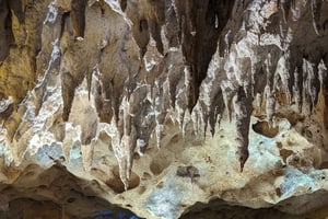 Da Santo Domingo: Grotta delle Meraviglie, cavalli e tour della spiaggia