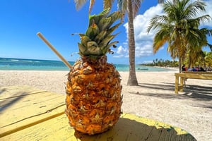 La Romana: Saona Island Boat Tour with Lunch