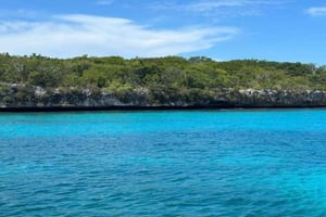 La Romana: Saona Island Tour with Lunch for Mein Schiff