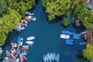 Tour in barca tra le mangrovie - Rio San Juan Tour guidato di 4-6 ore