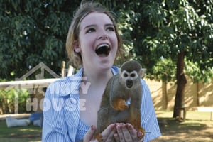 Monkey House VIP – En exklusiv upplevelse i Punta Cana