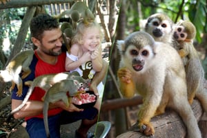 Tour nella giungla delle scimmie + trasporto dalla crociera all'hotel