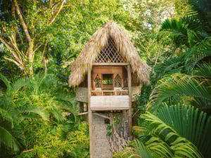 Beachfront Hotels on the North Coast