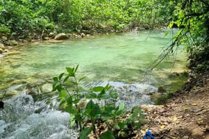 Pedernales Natural: Mulito River & Banano Confluence Excursion