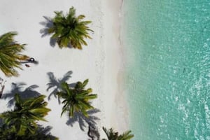 Privat buggy-safari til sukkerplantagen og Chavón-floden