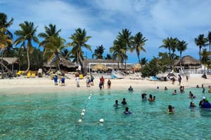 Excursion privée : plongée à l'île Catalina avec déjeuner