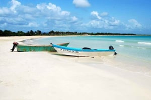 Privé : sortie en bateau, snorkeling et barbecue à l'île Catalina