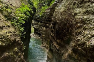 Privado: Aventura en las cataratas de Damajagua con caminata por la selva