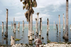 Private: Lago Enriquillo Boat & Wildlife Discovery Tour