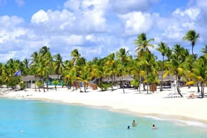 Privat: Lunch på en katamaran runt Catalina Island