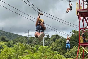 Private: Puerto Plata Zip-Line Thrill Experience