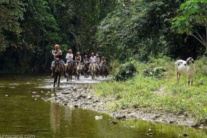 Private ganztägige Safari & Naturabenteuer in Punta Cana