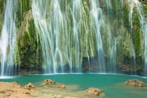 Privat: Punta Cana hvalsafari Bacardí Island Adventure