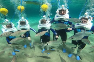 Private: ScubaDoo Underwater Scooter and Snorkel Tour