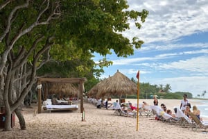 Privat: Dykningstur i Stora barriärrevet och korallträdgården