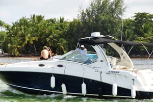 Private Yacht for Excursions in Punta Cana, Snorkeling+Booze