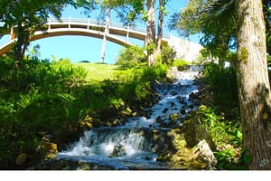 Puerto Plata: Tur til taubanen og nasjonalparken Isabel de Torres